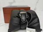 Montre Rodania Homme RO006H