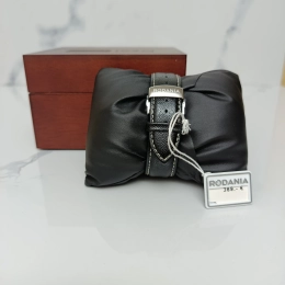 Montre Rodania Homme RO001H