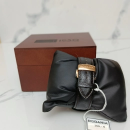 Montre Rodania Homme RO004H